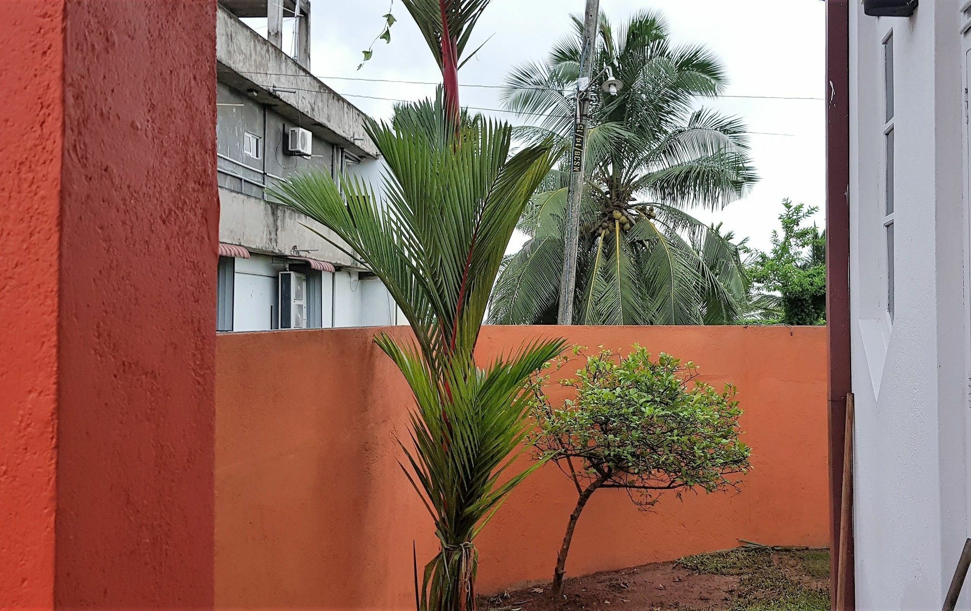 Yoyo Airport Hostel Negombo Dış mekan fotoğraf
